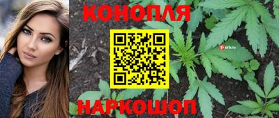 сатива Будённовск
