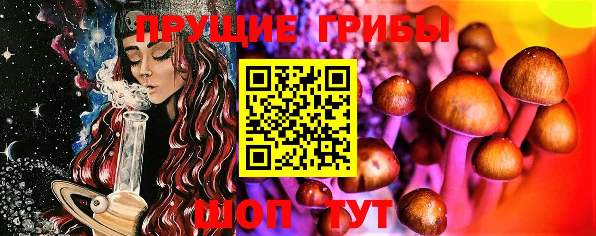 Псилоцибиновые грибы прущие грибы Ртищево